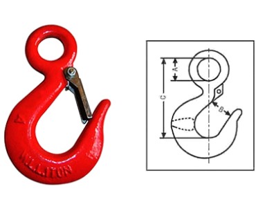 320A/C Eye hoist hook with latch