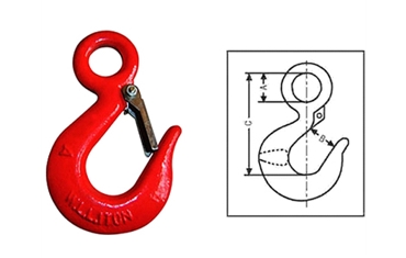 320A/C Eye hoist hook with latch
