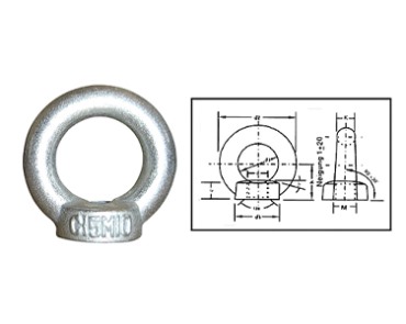 DIN582 RING NUT	